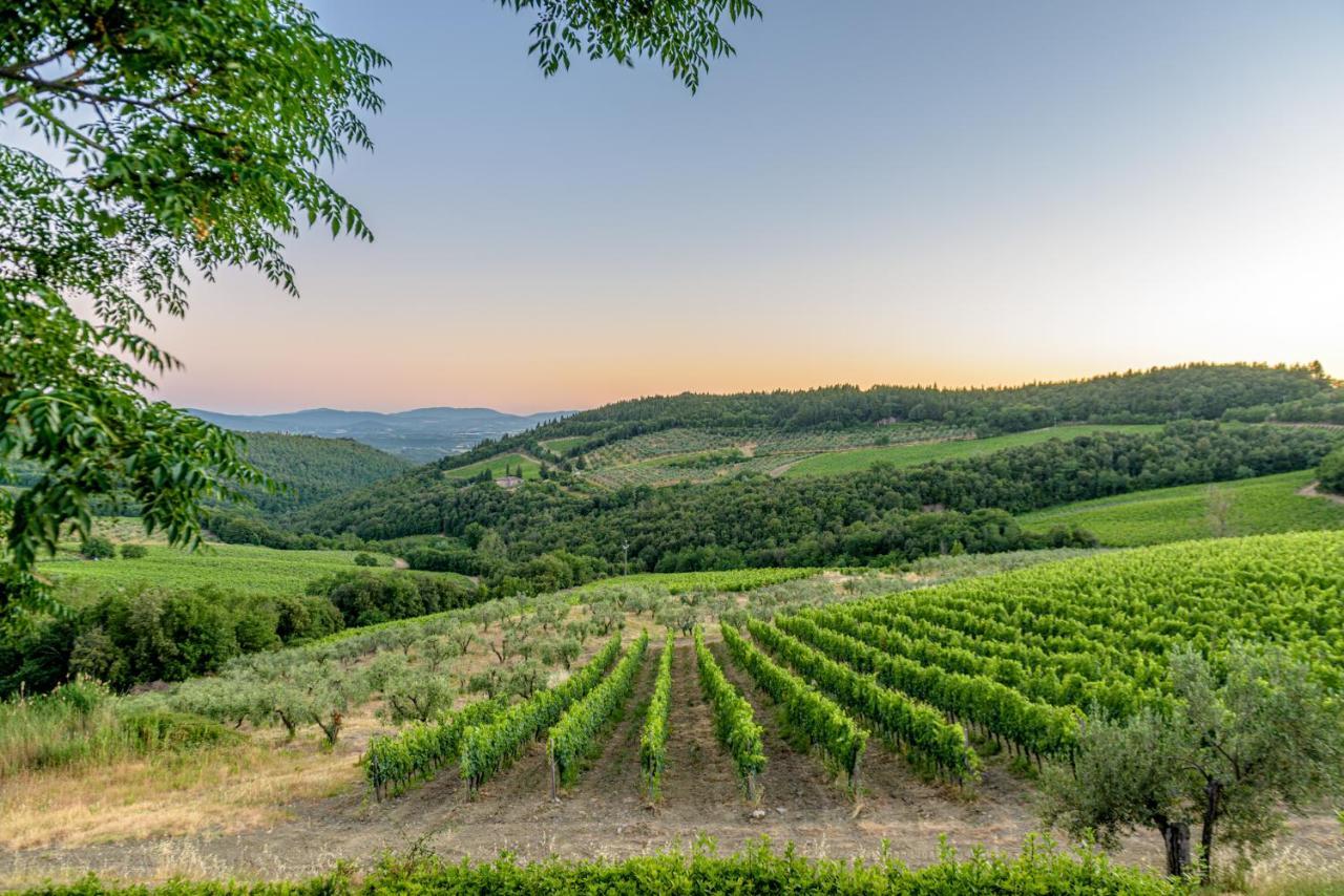 Agriturismo Concadoro Βίλα Castellina in Chianti Εξωτερικό φωτογραφία